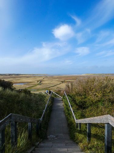 Accès à De Slufter