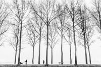 Along the Damse Vaart, Bruges