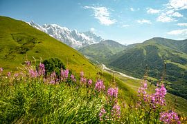 Berg en gletsjer in Georgië bij Ushguli van Leo Schindzielorz
