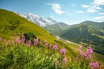 Berg en gletsjer in Georgië bij Ushguli van Leo Schindzielorz