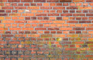 Vintage brick wall facade background texture by Alex Winter