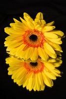 La couleur du soleil...