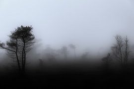 Nebel im Moor von Ken Kühlbrandt