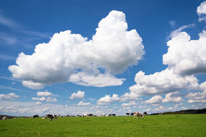 Wipperfürth, Bergisches Land, Deutschland von Alexander Ludwig