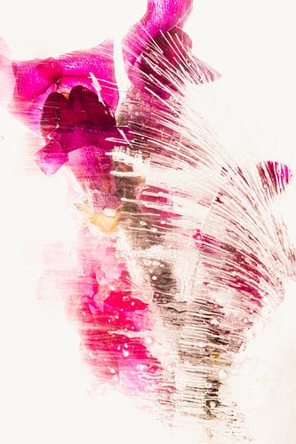 Gueule de loup rouge dans la glace 3