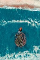 Beeldmanipulatie van Schildpad met Eiland - Inspiratie uit Balinese Mythologie