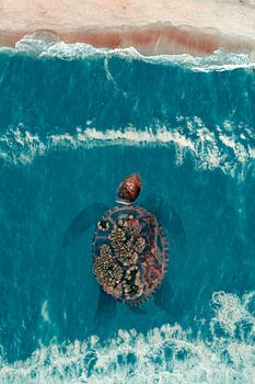 Beeldmanipulatie van Schildpad met Eiland - Inspiratie uit Balinese Mythologie