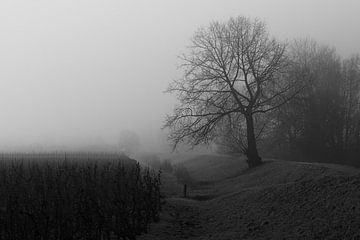 Nederlands landschap van Nynke Altenburg