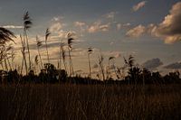 Sonnenuntergang Adlerpolder