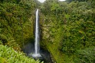 Chutes Akaka - Parc Jurassique - chute d'eau par Ellis Peeters Aperçu