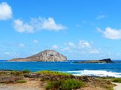 Rabbit Island Hawaii by Janina Ballali thumbnail