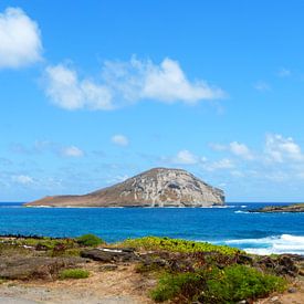 Rabbit Island Hawaii by Janina Ballali