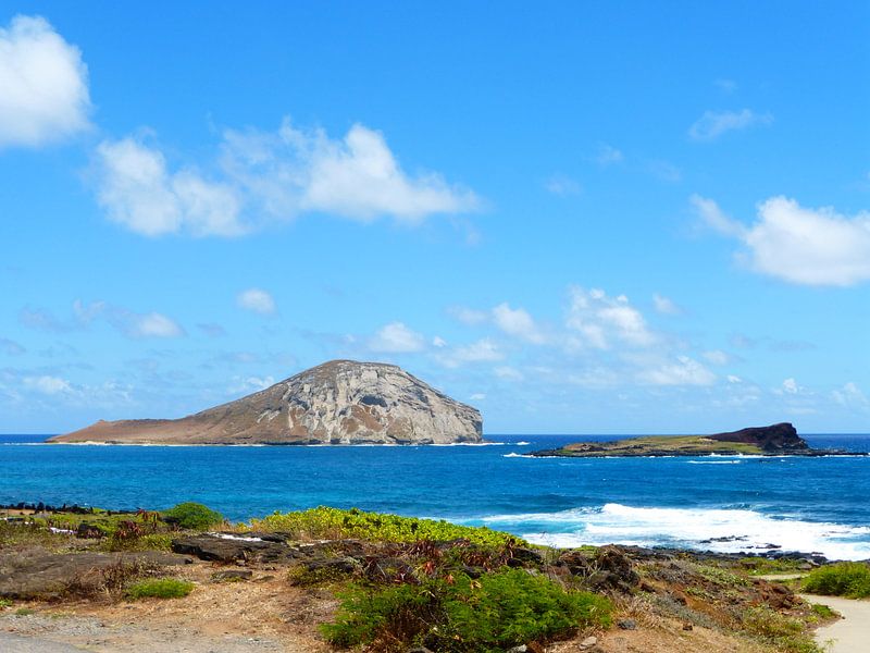 Rabbit Island Hawaii by Janina Ballali