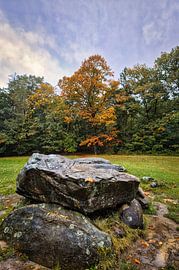 Strahlende Herbstfarben von Alexander van der Molen