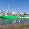 Ever Art (Evergreen) van RvR Photography (Reginald van Ravesteijn)