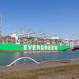 Ever Art (Evergreen) sur Havenfotos.nl(Reginald van Ravesteijn)