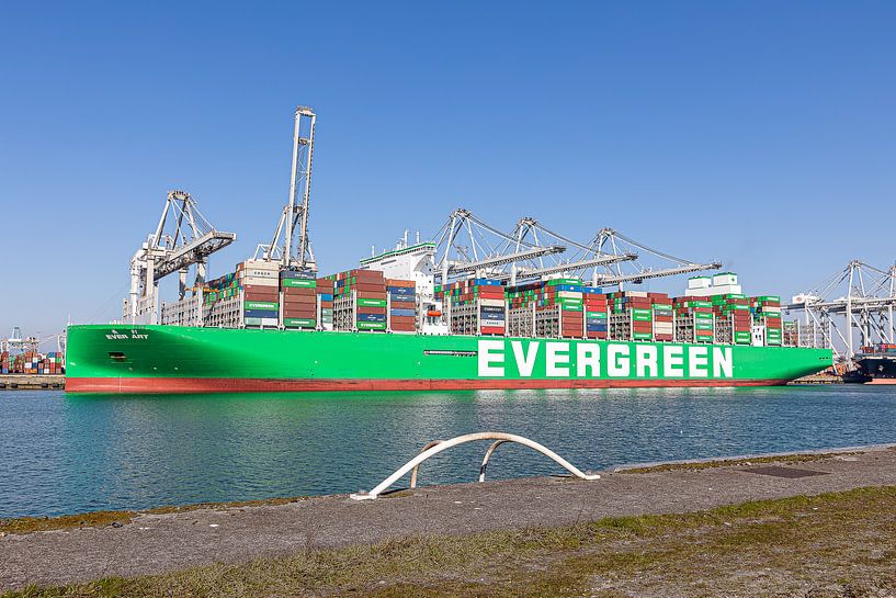Ever Art (Evergreen) von Havenfotos.nl(Reginald van Ravesteijn)