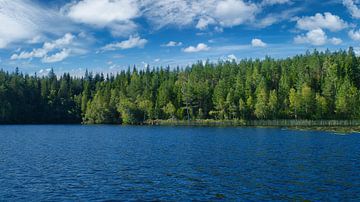 Lake in Sweden with white clouds, blue water and trees on the shore by Martin Köbsch