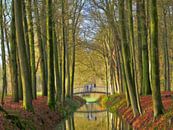 Schöne Brücke (Brücke im Wald) von Caroline Lichthart Miniaturansicht