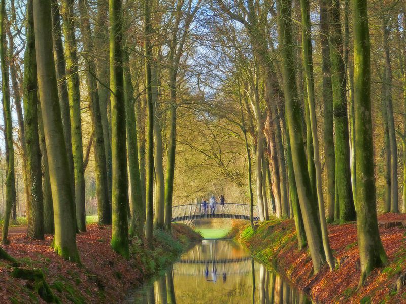 Schöne Brücke (Brücke im Wald) von Caroline Lichthart