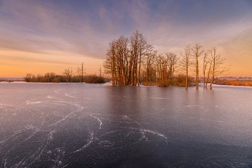 Natuurgebied Tusschenwater Hunzedal
