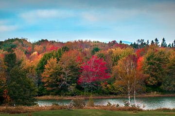 Herfst langs de rivier. van Tom Kostes Photography