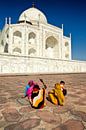 Taj Mahal van Paul Piebinga thumbnail
