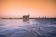Madonna dell'Angelo van Rafaela_muc thumbnail