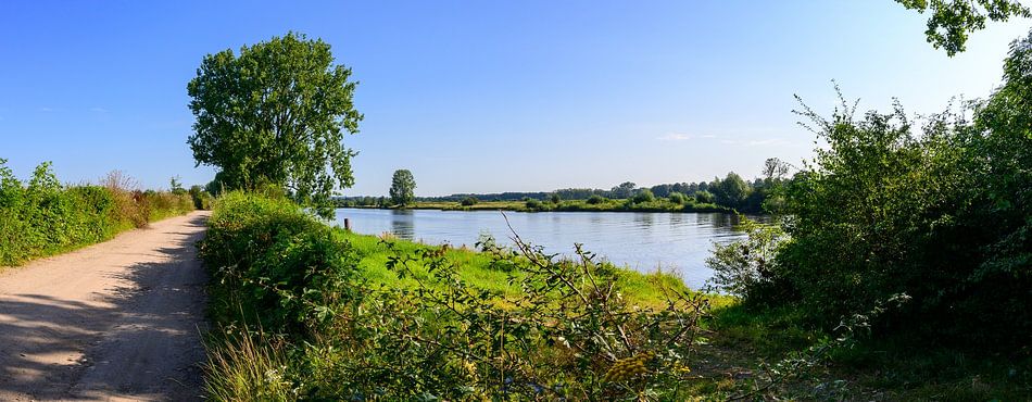 Panorama: Wandelen langs de Maasduinen