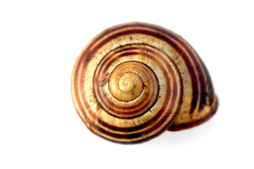 Swinging by Thomas Jäger