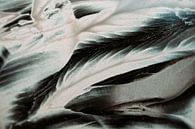 Abstract nagenieten van Saskia Schotanus thumbnail