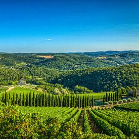 Die grünen Hügel der Toskana im Sommer von Jan de Wild