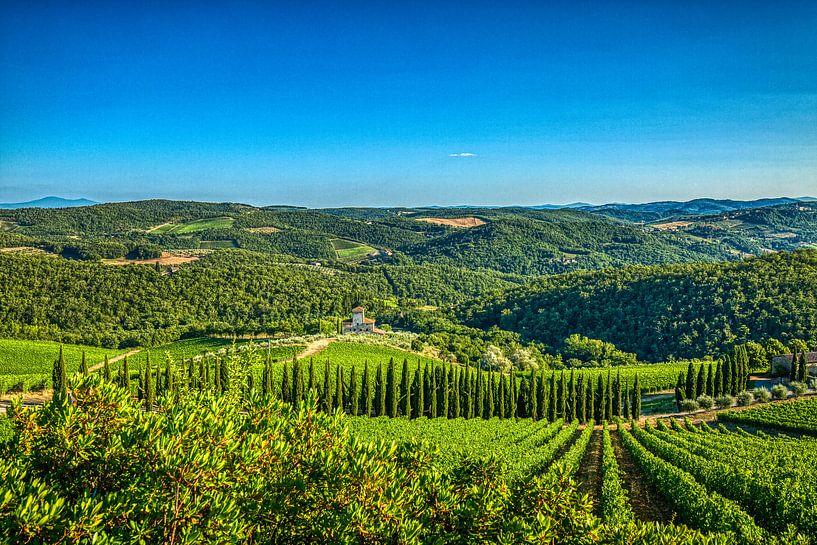 Les vertes collines toscanes en été par Jan de Wild