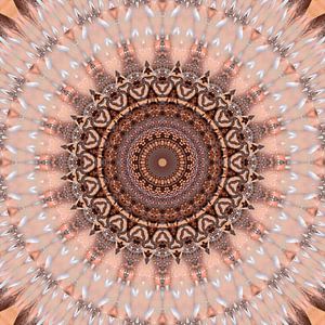 Mandala rose romantique