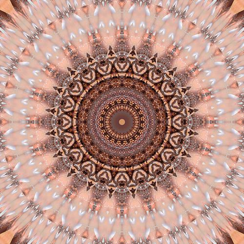 Mandala romantisches rosa von Christine Bässler
