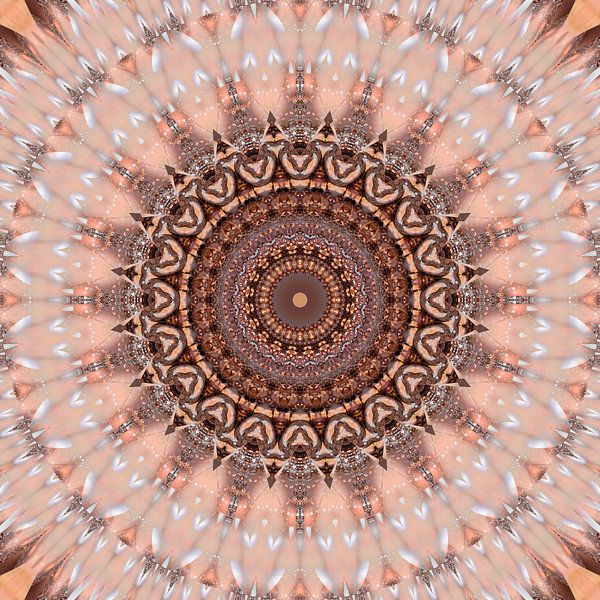 Mandala romantisches rosa von Christine Bässler