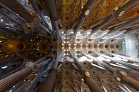 Sagrada Familia van Guido Akster thumbnail