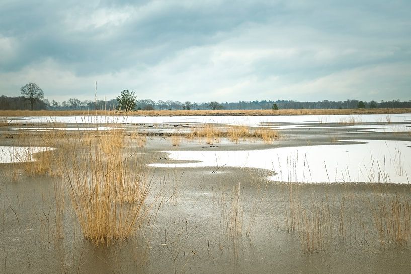 Ice in Enbertsdijksvenen by Truus Nijland