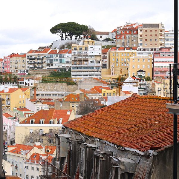Lisbon by Berthilde van der Leij
