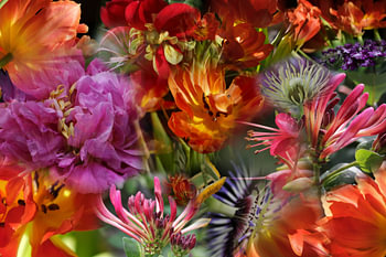 Collage aus bunten Blumen