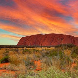 Im Uluru-Kata-Tjuta-Nationalpark im Nordterritorium von Australien von Henk van den Brink