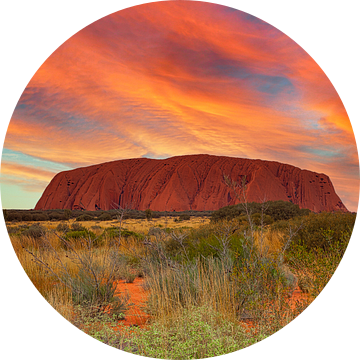 In Uluru-Kata Tjuta National Park in het Northern Territory van Australië van Henk van den Brink