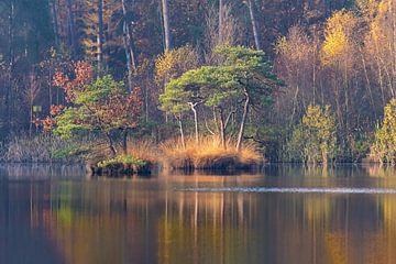 Les îlots du Diaconat aux couleurs de l'automne