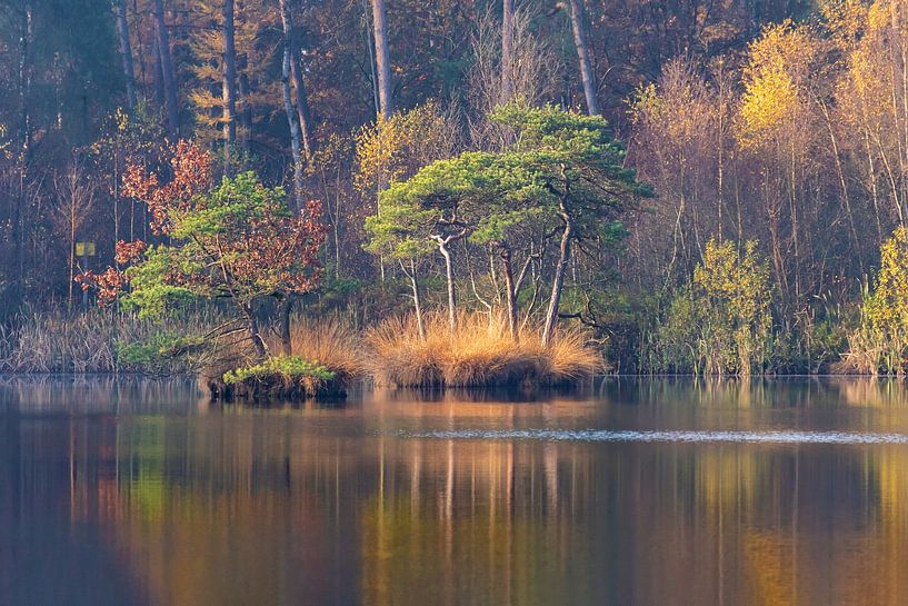 Die Inseln des Diakonats in Herbstfarben von Els Oomis