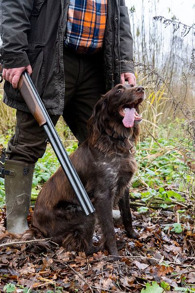 The Hunting by Frans Bovens