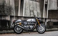 Triumph Thruxton R von Westland Op Wielen Miniaturansicht