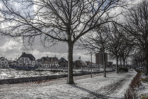 Paysage d'hiver