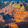 Goldenen Schimmer über den Grand Canyon, USA von Rietje Bulthuis