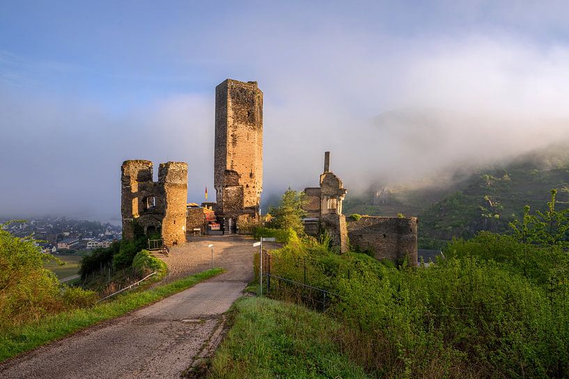 Beilstein, Moezel, Rijnland-Palts, Duitsland van Alexander Ludwig