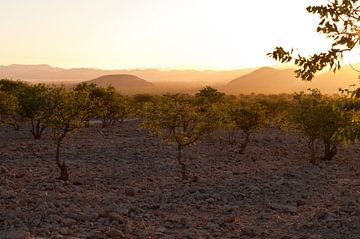 Lumière du soir en Namibie sur Damien Franscoise
